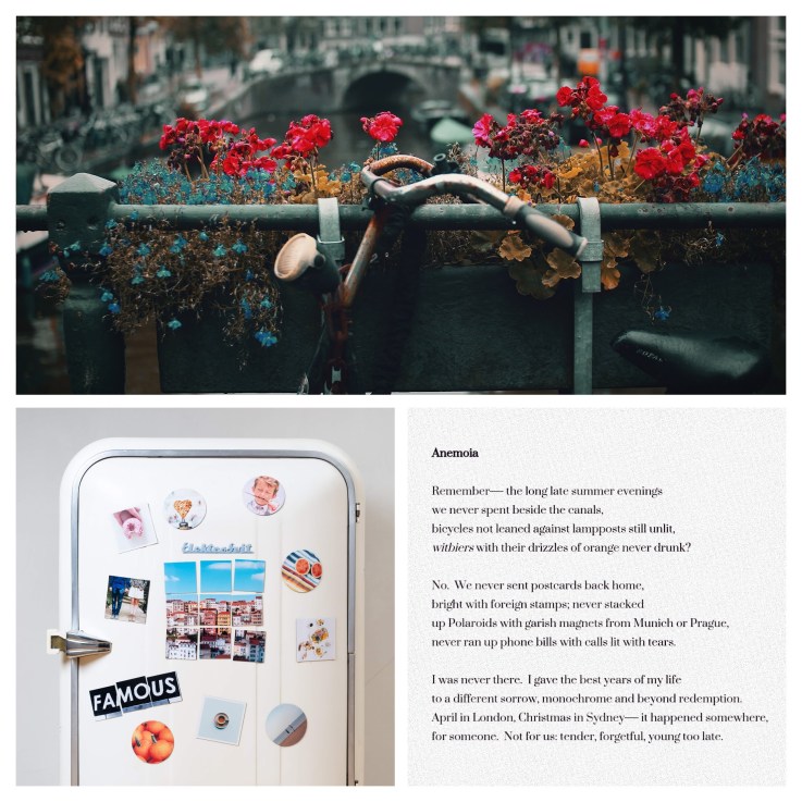 squared-one-212144-unsplash-COLLAGE