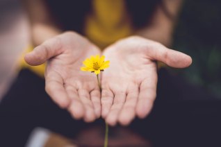lina-trochez-377674-unsplash